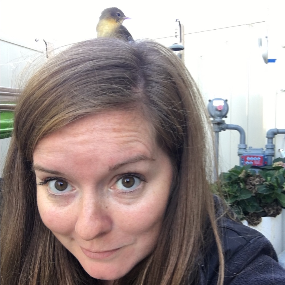 Meet your Posher, Rebecca